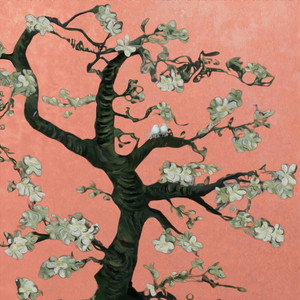 韩国学生小男生Gay
